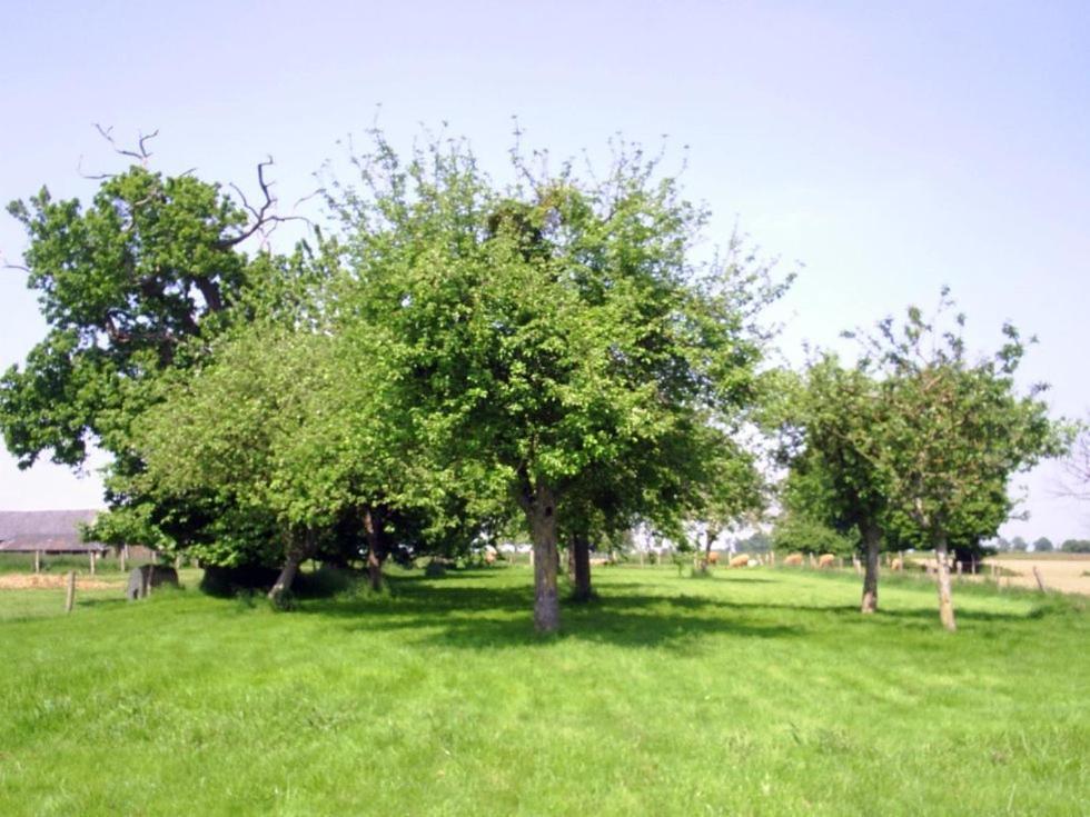 Chambres D'Hote Honey Orchard Farm Vessey Exterior foto